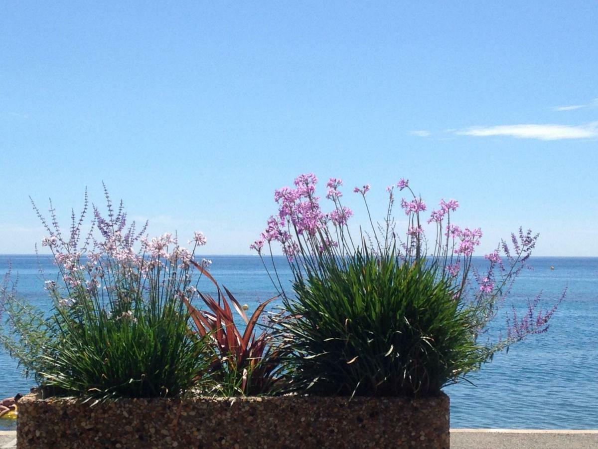Les Caroubiers Διαμέρισμα Roquebrune-Cap-Martin Εξωτερικό φωτογραφία